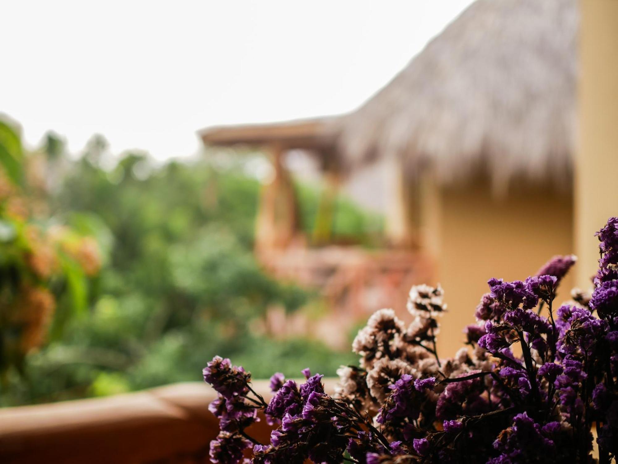 Carpe Diem Casitas & Villas Mazunte Pokój zdjęcie